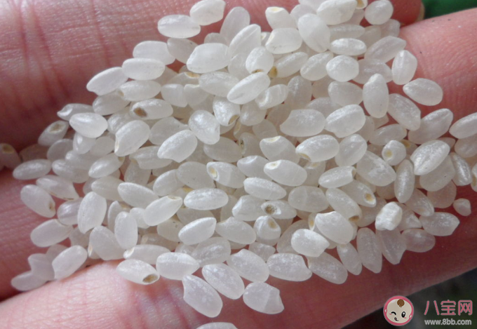 大米中的米蟲是怎么來的 生蟲的大米可以吃嗎