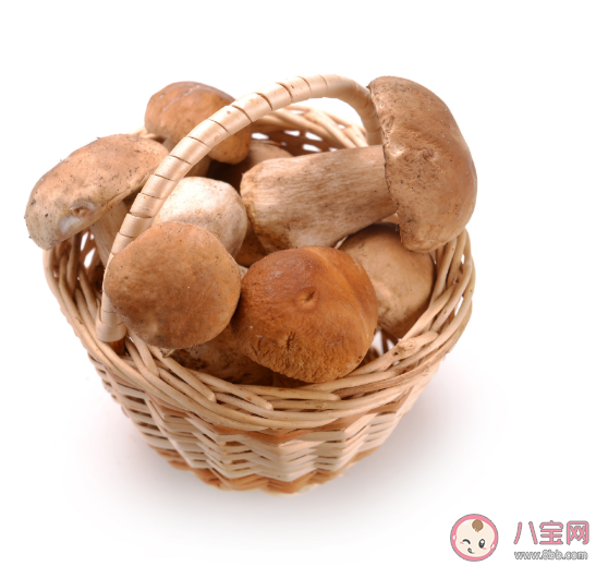 化療期間白細胞太低吃什么好 改善白細胞降低癥狀的食物