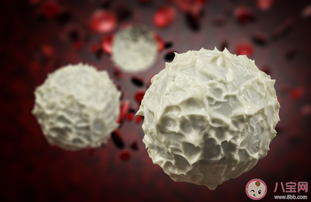 化療白細胞降低怎么辦 白細胞下降會有什么危害后果