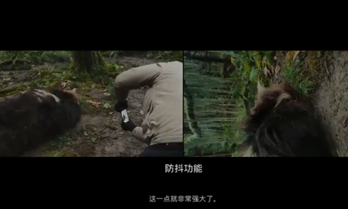 2021蘋果短片《阿年》講的是什么 《阿年》是如何拍攝的