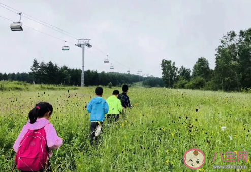 快樂教育真的比應試教育好嗎 什么是真正的應試教育