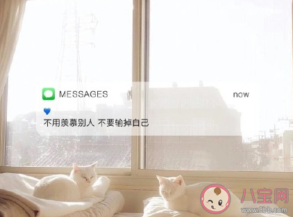 2021一月再見二月你好唯美說說 二月你好的經典句子 2021一月再見二月你好唯美說說 二月你好的經典句子