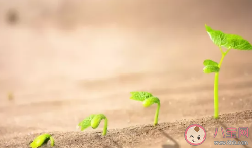 一月再見二月你好文藝清新句子 二月你好的文藝說說 一月再見二月你好文藝清新句子 二月你好的文藝說說