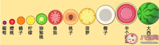 合成小芝麻合成順序是怎樣的 合成小芝麻合的玩法訣竅