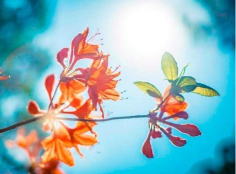 離婚要不要瞞著家人 離婚了要告訴父母嗎