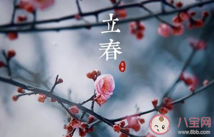 春雨驚春清谷天第一個春指什么節氣 第二個春指什么節氣