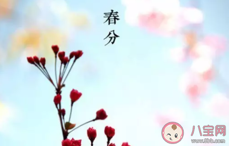 春雨驚春清谷天第一個春指什么節氣 第二個春指什么節氣 春雨驚春清谷天第一個春指什么節氣 第二個春指什么節氣