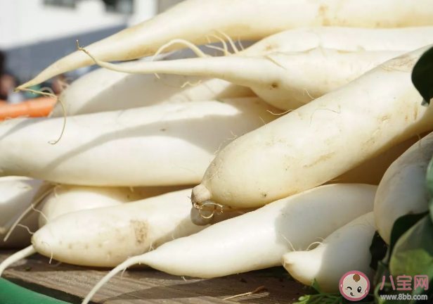 立春咬春要吃哪種蔬菜 螞蟻莊園2月3日答案最新 立春咬春要吃哪種蔬菜 螞蟻莊園2月3日答案最新