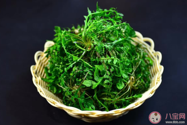 立春咬春要吃哪種蔬菜 螞蟻莊園2月3日答案最新 立春咬春要吃哪種蔬菜 螞蟻莊園2月3日答案最新