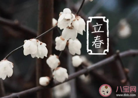 立春早安勵(lì)志語錄 立春早安正能量句子 立春早安勵(lì)志語錄 立春早安正能量句子