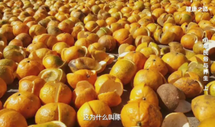 南北方小年習(xí)俗對比 全國小年習(xí)俗大全 南北方小年習(xí)俗對比 全國小年習(xí)俗大全