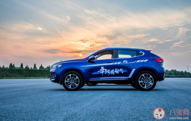 新車為什么有異味 新車除異味用什么方法最快 新車為什么有異味 新車除異味用什么方法最快