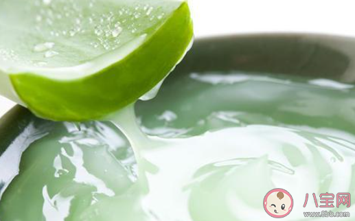 蘆薈膠不能起到什么作用 蘆薈膠具體有哪些作用和效果