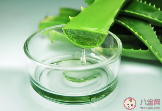 蘆薈膠不能起到什么作用 蘆薈膠具體有哪些作用和效果