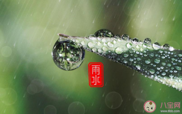 2021雨水節(jié)氣后養(yǎng)生吃什么菜 2021雨水之后如何養(yǎng)生 2021雨水節(jié)氣后養(yǎng)生吃什么菜 2021雨水之后如何養(yǎng)生