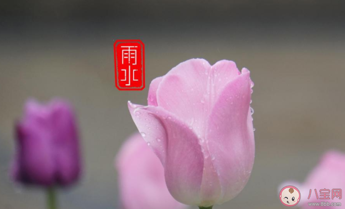 2021雨水節(jié)氣后養(yǎng)生吃什么菜 2021雨水之后如何養(yǎng)生 2021雨水節(jié)氣后養(yǎng)生吃什么菜 2021雨水之后如何養(yǎng)生