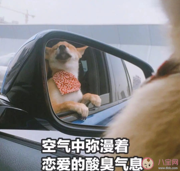 單身生活會(huì)孤獨(dú)嗎 如果過(guò)好單身生活的日子