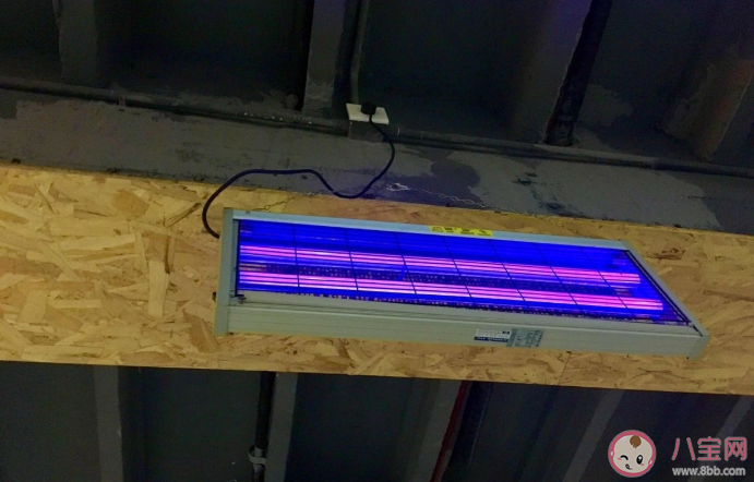 紫外線消毒燈關上門對人體還有傷害嗎 紫外線消毒燈關了多久能進室內 紫外線消毒燈關上門對人體還有傷害嗎 紫外線消毒燈關了多久能進室內