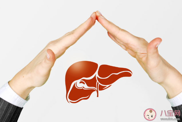 靠走路可以治愈脂肪肝嗎 日常如何預防與調理脂肪肝