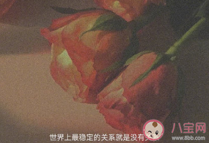 2021情人節浪漫告白文案 情人節撩人的說說句子 2021情人節浪漫告白文案 情人節撩人的說說句子