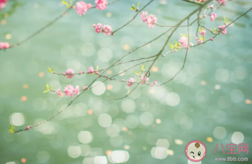 雨水節氣過后養生小知識介紹 雨水節氣食譜大全 雨水節氣過后養生小知識介紹 雨水節氣食譜大全