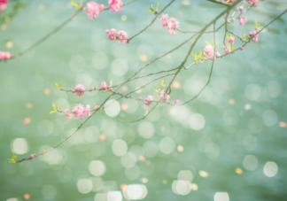 雨水節(jié)氣過后養(yǎng)生小知識(shí)介紹 雨水節(jié)氣食譜大全