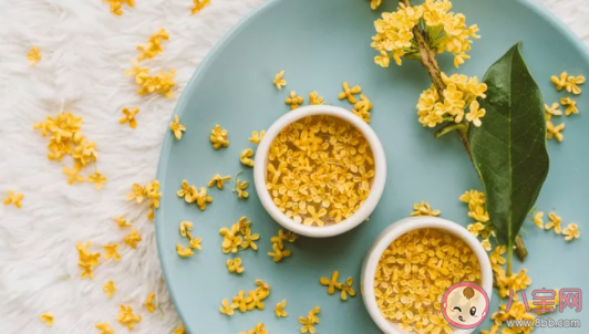 何須淺碧深紅色自是花中第一流是什么花 螞蟻莊園2月21日答案