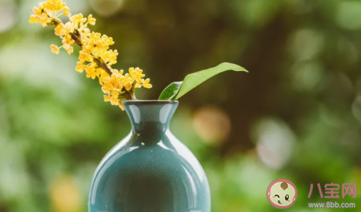 何須淺碧深紅色自是花中第一流是什么花 螞蟻莊園2月21日答案 何須淺碧深紅色自是花中第一流是什么花 螞蟻莊園2月21日答案