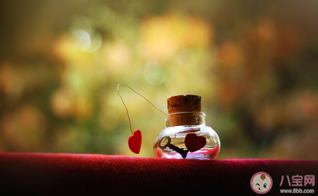 愛情中適合重要還是喜歡更重要 適合和喜歡應該怎么選