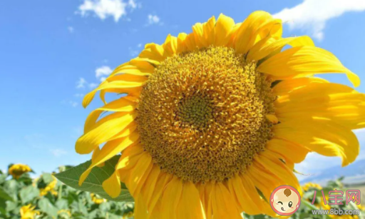 自我感動(dòng)是怎樣一種體驗(yàn) 自我感動(dòng)的經(jīng)歷故事