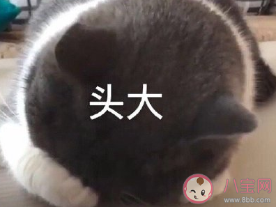 家長(zhǎng)對(duì)孩子的迷之自信行為盤點(diǎn) 長(zhǎng)輩夸人能有多夸張