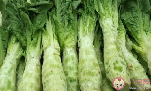 萵筍變軟了到底還能不能吃 如何分辨萵筍的好壞