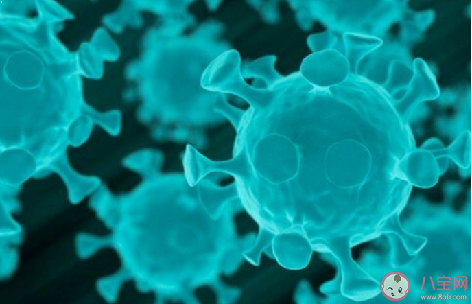 新冠肺炎可能成為長期流行的傳染病是真的嗎 新冠病毒會消失嗎 新冠肺炎可能成為長期流行的傳染病是真的嗎 新冠病毒會消失嗎