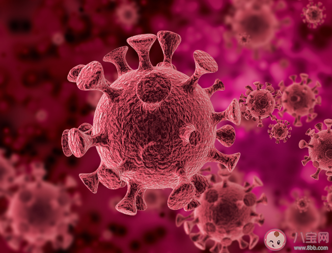 新冠肺炎可能成為長期流行的傳染病是真的嗎 新冠病毒會消失嗎 新冠肺炎可能成為長期流行的傳染病是真的嗎 新冠病毒會消失嗎