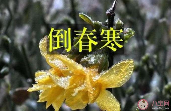 2021會有倒春寒嗎 倒春寒天氣一般發生在什么時候 2021會有倒春寒嗎 倒春寒天氣一般發生在什么時候