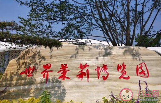 四川單向透明廁所在哪 透明廁所的作用是什么