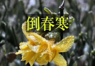 2021會(huì)有倒春寒嗎 倒春寒天氣一般發(fā)生在什么時(shí)候