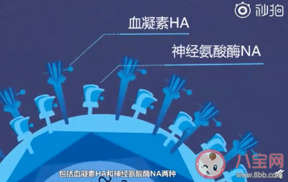 全球首次發現人感染H5N8型禽流感病毒是怎么回事 H5N8型禽流感病毒有什么危害