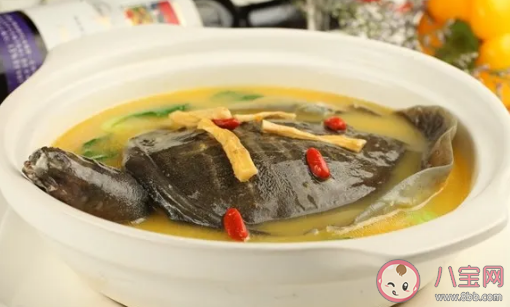 甲魚湯怎么做更有滋補的作用 吃甲魚有哪些禁忌