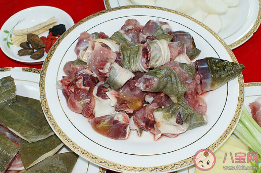 甲魚湯怎么做更有滋補的作用 吃甲魚有哪些禁忌