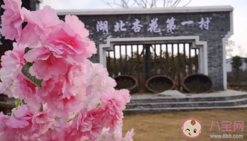 2月底哪些地區(qū)會(huì)大幅降溫 倒春寒是什么時(shí)候