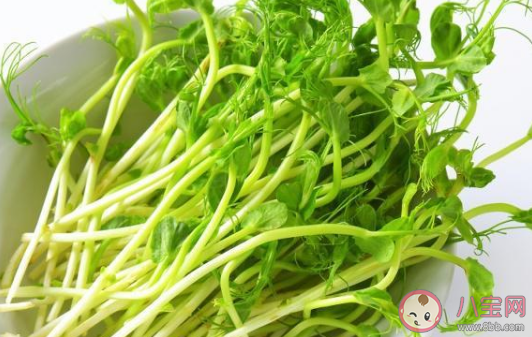 清炒豌豆苗需要焯水了再吃嗎 豌豆苗需要燙多久吃
