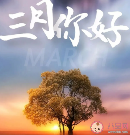 2021三月了早安心語文藝說說 三月請對我好點發朋友圈句子