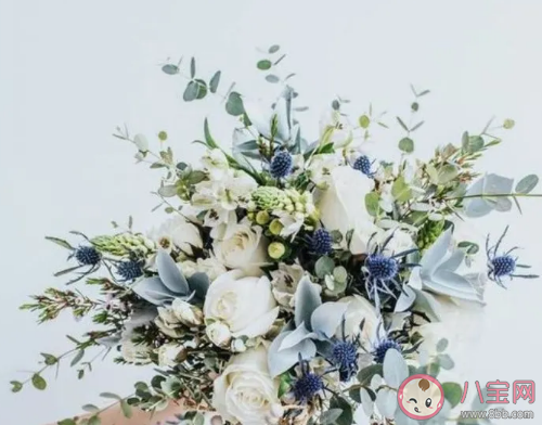 2021三月了早安心語文藝說說 三月請對我好點發朋友圈句子