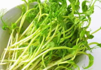 清炒豌豆苗需要焯水了再吃嗎 豌豆苗需要燙多久吃