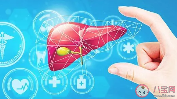 肝癌有哪些早期癥狀和前兆 肝癌如何預(yù)防