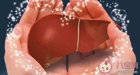 肝癌有哪些早期癥狀和前兆 肝癌如何預(yù)防