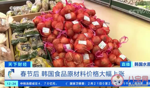 韓國食品價(jià)格大幅上漲是怎么回事 春節(jié)后價(jià)格為什么不減反增 韓國食品價(jià)格大幅上漲是怎么回事 春節(jié)后價(jià)格為什么不減反增