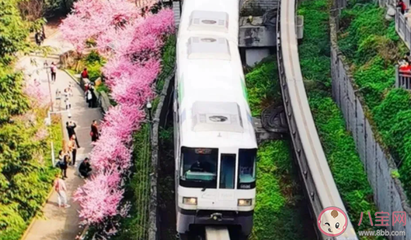 重慶開往春天的輕軌打卡攻略 佛圖關最佳拍照點在哪