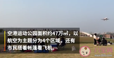 成都飛機起降最佳觀賞點在哪 免費開放是真的嗎